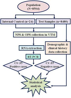 Unveiling the occurrence of COVID-19 in a diverse Bangladeshi population during the pandemic